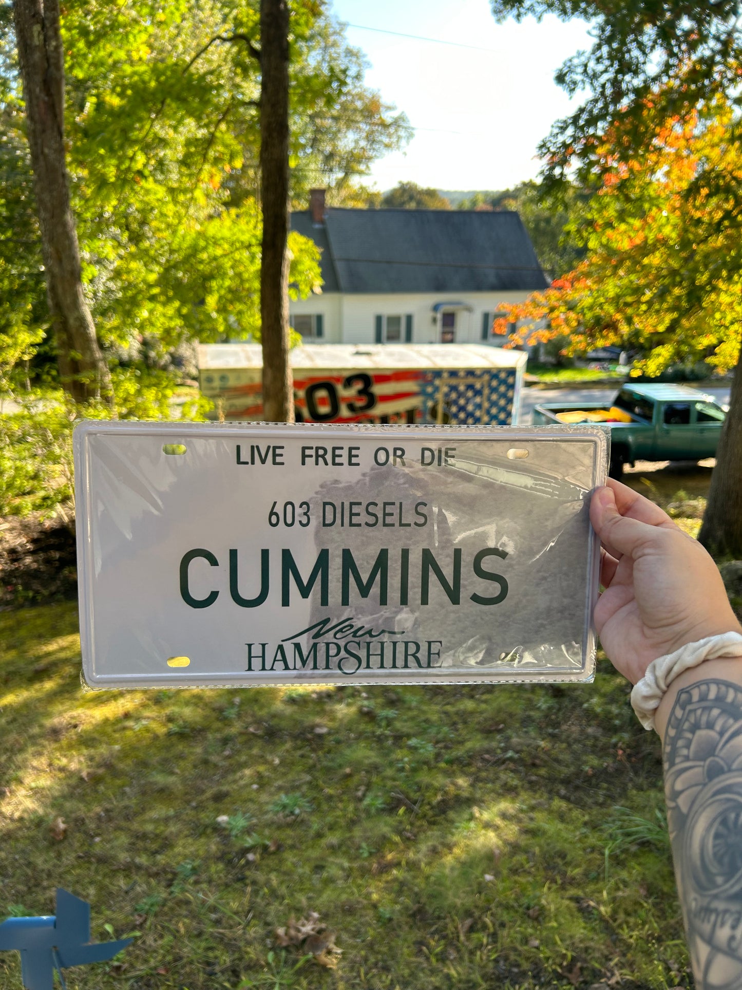 603 Diesels License Plate (multiple styles)