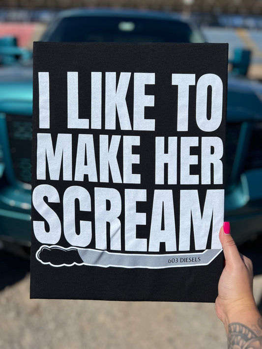 I Like to Make Her Scream Hoodie