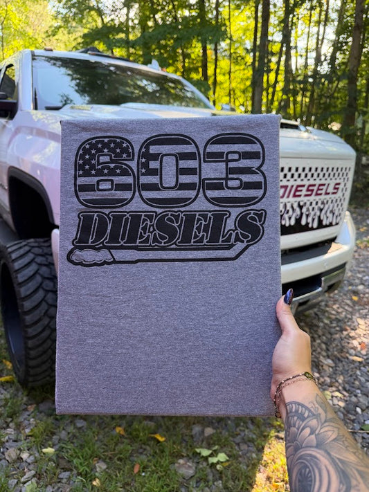 603 Diesels Black Logo Gray Tshirt