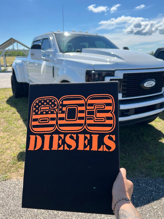 603 Diesels Orange Logo Tshirt