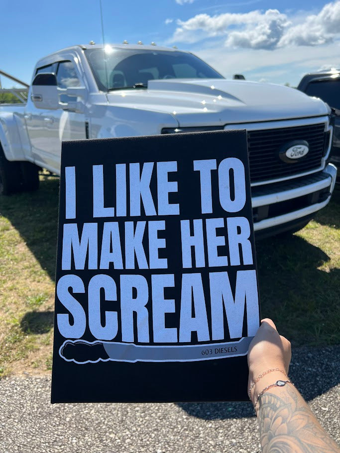 I Like to Make Her Scream Tshirt