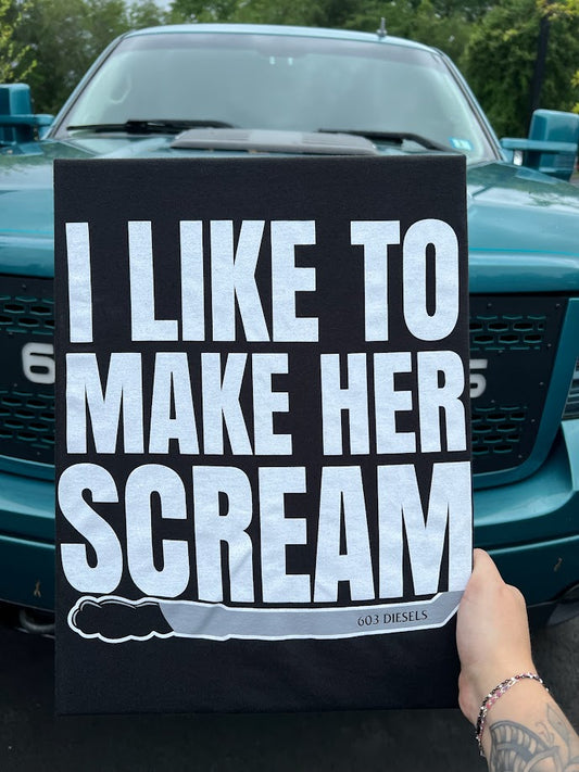 I Like to Make Her Scream Tshirt - 11