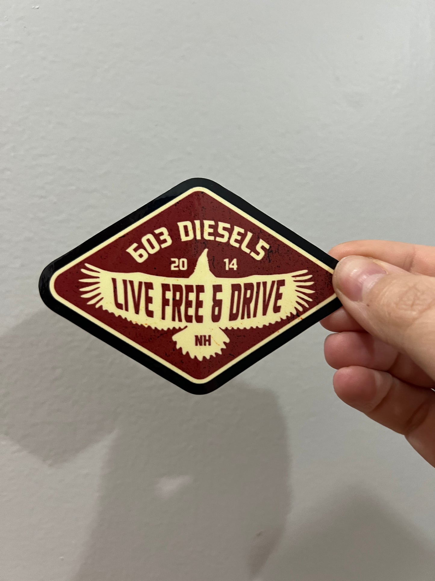 LIVE FREE & DRIVE FREE BIRD STICKER